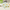 30 Tage Matcha Challenge