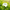 Was it L-Theanin? - MatchaLand