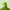 Aktionsbanner